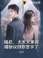 陆少太太要离婚